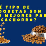 ALIMENACION EN CACHORROS QUE CROQUETAS DEBO DARLE A UN CACHORRO