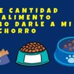 ¿Qué cantidad de comida debe comer su cachorro?