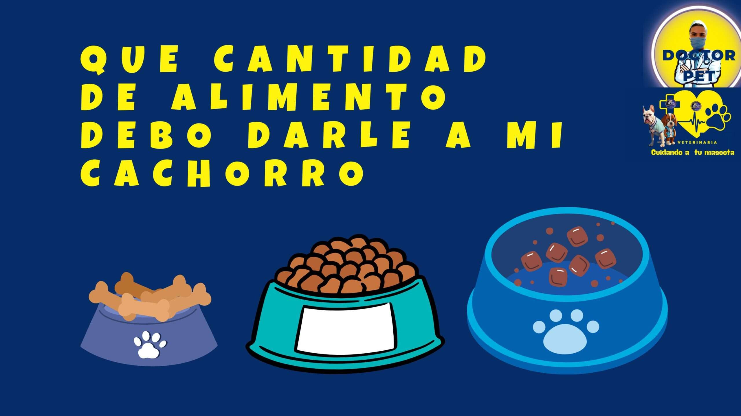 ¿Qué cantidad de comida debe comer su cachorro?