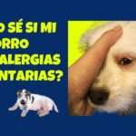 Alergias Alimentarias en Perros