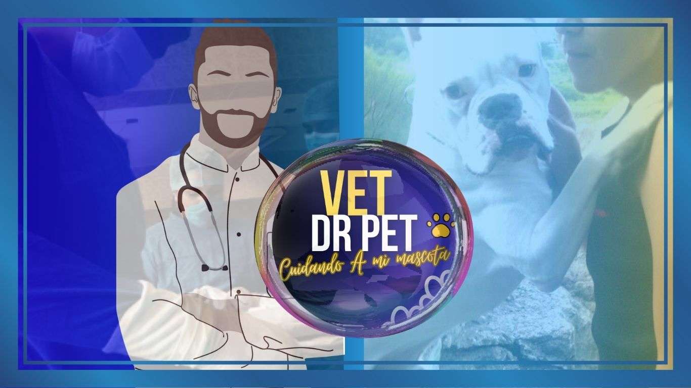 banner vet dr pet