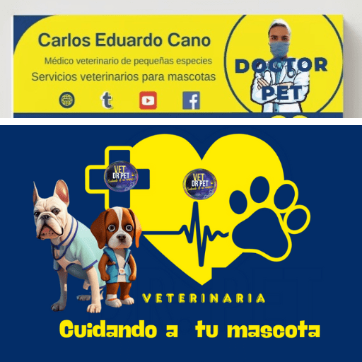 Logotipo vet drpet Carlos cano