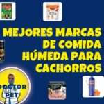 Marcas de Comida Húmeda para Cachorros: Beneficios y Ofertas Especiales