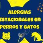 Alergias Estacionales en Perros