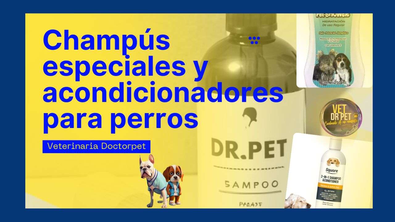 CUALES ACONDICIONADORES Y SHAMPOOS SON BUENOS PARA PERROS