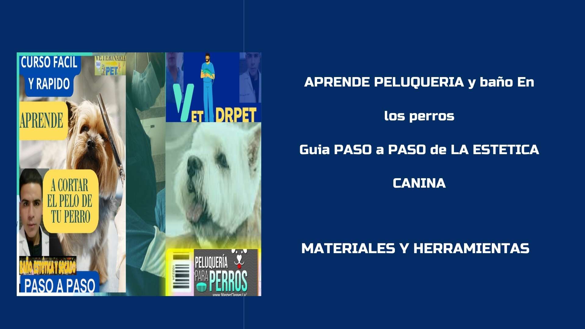 APRENDE-ESTETICA-CANINA-PASO-A-PASO-CARLOS-CANO