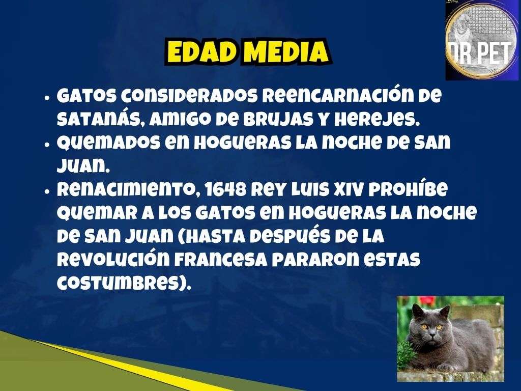 EDAD MEDIA LOS GATOS VETERINARIA DR PET CARLOS CANO