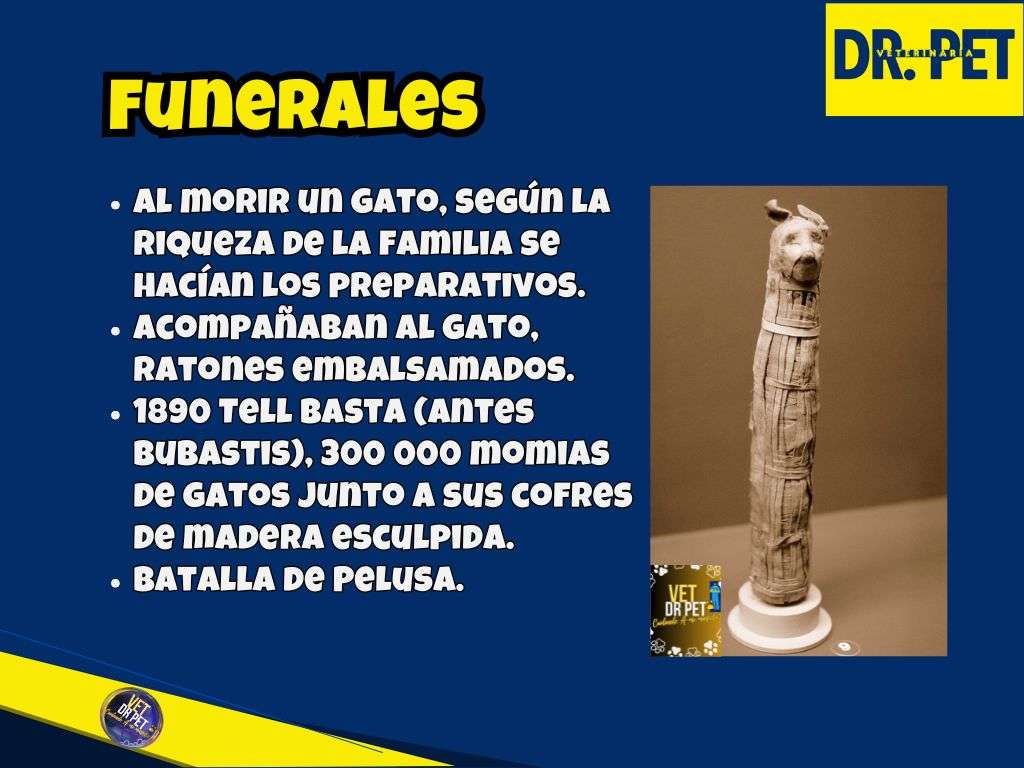 Funerales