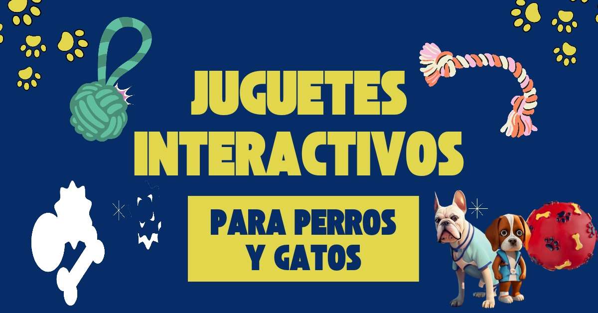 JUGUETES INTERACTIVOS PARA PERROS Y GATOS VETERINARIA DOCTOR PET CARLOS CANO