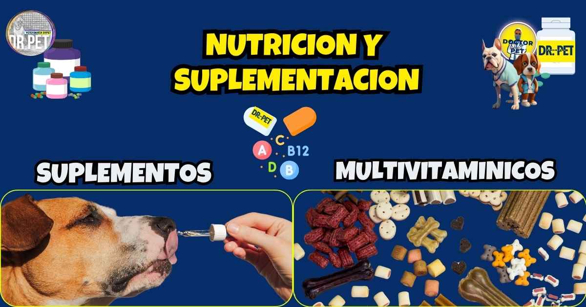 NUTRICION Y SUPLEMENTACION EN PERROS Y GATOS POR VETERINARIA DOCTOR PET MVZ CARLOS EDUARDO CANO CEJUDO